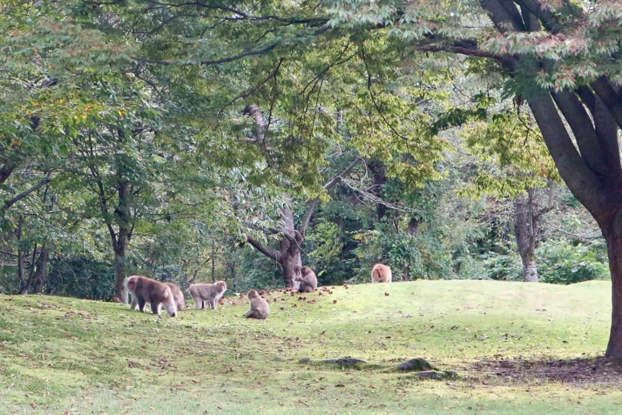 Bunanoyado Koase Aga Exteriér fotografie